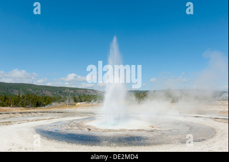 Primavera calda, fontana, eruzione, geyser, Segheria Geyser, Area Castle-Grand, Upper Geyser Basin, il Parco Nazionale di Yellowstone Foto Stock