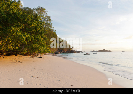 Aveva Lek Beach nella luce del mattino, Nationalpark Mu Ko Similan, Ko Miang, Isola di no. 4, Phang Nga, Thailandia Foto Stock