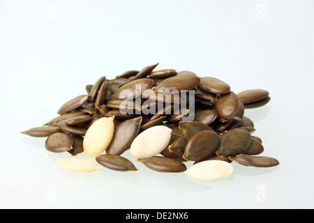 Pelati e non pelati olio della Stiria semi di zucca Foto Stock