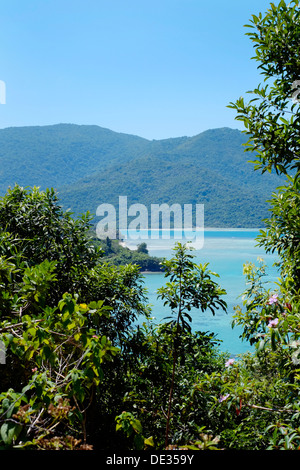 Vista attraverso gli alberi attraverso il blu profondo e il mare cristallino di isola Karimunjawa java indonesia Foto Stock