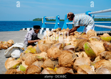 Due uomini locali sorta attraverso un mucchio di gusci di noce di cocco sul Quayside sull isola Karimunjawa indonesia Foto Stock