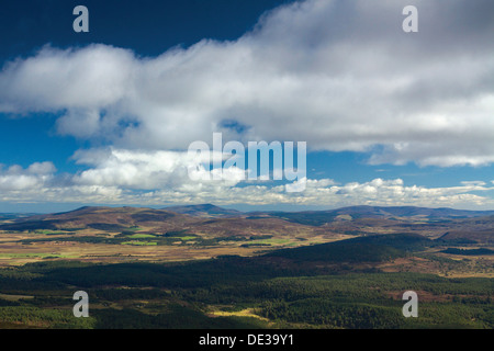 Ben Rinnes e Abernethy Riserva Naturale da Meall un Bhuachaille, Cairngorm National Park Foto Stock