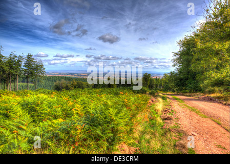 Colline di Quantock Somerset Inghilterra viste verso il canale di Bristol con felci e boschi in HDR Foto Stock
