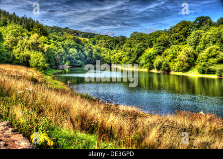 Serbatoio Hawkridge Quantock Hills Somerset noto per la pesca della trota in HDR con cielo blu Foto Stock