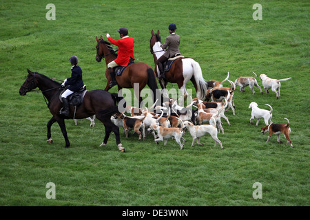 Iffezheim, Germania, pilota e il cane con un drag hunt Foto Stock