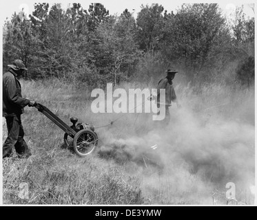 Newberry County, Carolina del Sud. Allegheny linea di fuoco scavafossi in azione in un sedge erba e radica f . . . 522813 Foto Stock