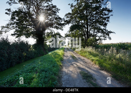 Ha guidato la via attraverso il sito della battaglia di Sedgemoor. Westonzoyland. Somerset. In Inghilterra. Regno Unito. Foto Stock