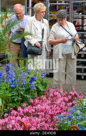 Maastricht City storico municipio mercato all'aperto fiori in vendita tre modelli di pensionati acquirenti che esplorano piante da giardino estive UE Foto Stock