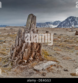 Resti di legno, Smeerenburg, isola Spitsbergen, Svalbard, Norvegia Foto Stock