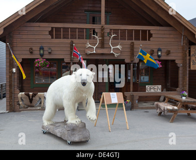 Farcite orso polare al di fuori della piccola tappa turistica a Longyearbyen, isola Spitsbergen, Norvegia Foto Stock