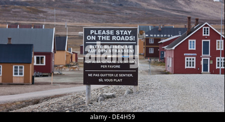 Ny-Alesund, isola Spitsbergen, Svalbard, Norvegia Foto Stock