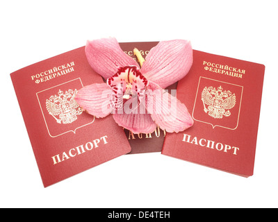 Orchid e un passaporto Foto Stock