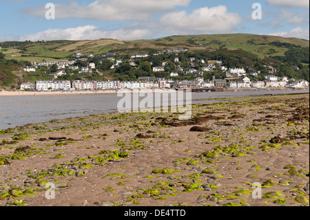 Aberdovey villaggio sul mare situato nella riva nord del fiume Dyfi nel Parco Nazionale di Snowdonia barene di primo piano di Ynyalas Foto Stock