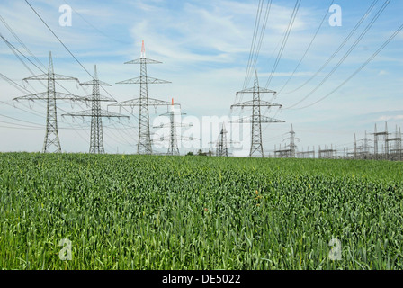 Campo di grano con elettricità tralicci e stazione del trasformatore Foto Stock