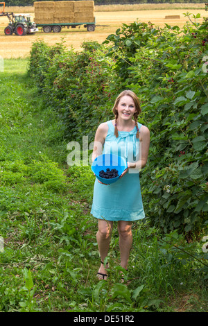 Bruna giovane donna in vestito blu picking more all'aperto Foto Stock