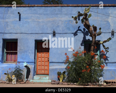 Casa Adobe in El Barrio storico distretto di Tucson, Arizona, Stati Uniti d'America Foto Stock