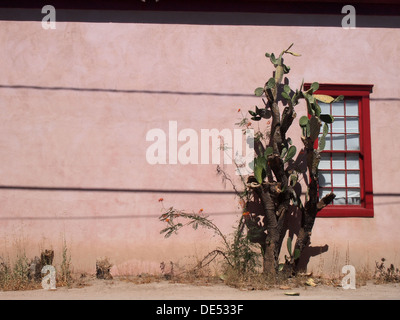Casa Adobe in El Barrio storico distretto di Tucson, Arizona, Stati Uniti d'America Foto Stock