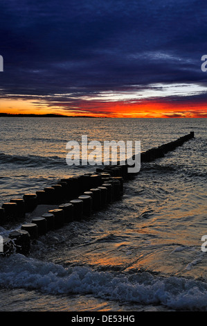 Pennelli su un Mar Baltico beach prima del tramonto, Ahrenshoop, Ahrenshoop, Darß, Ostsee, Meclemburgo-Pomerania, Germania Foto Stock