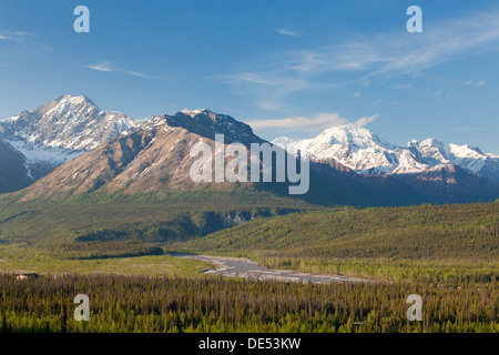 Vista da Glenn autostrada vicino ghiacciaio Matanuska, Alaska, U.S.A. Foto Stock