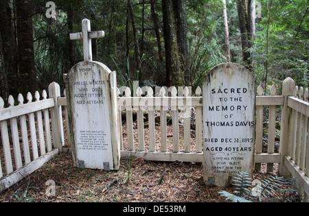 Pioneer pubblicani tombe con Huon Pine lapidi a Corinna in Tasmania Foto Stock