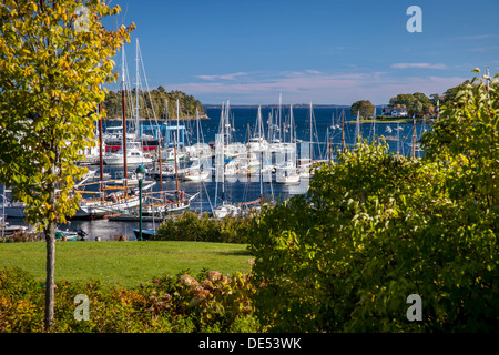 Il porto di Camden in Camden Maine, Stati Uniti d'America Foto Stock