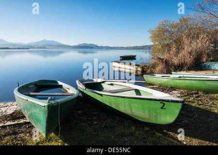 Barche a remi sulla riva del Lago Hopfensee vicino a Füssen, Ostallgaeu regione, Allgaeu, Bavaria Foto Stock