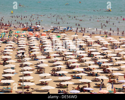 Vista della spiaggia con ombrelloni e lettini per prendere il sole e i bagnanti, Lignano Sabbiadoro, Udine, costa Adriatica, Italia, Europa Foto Stock