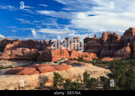 Gli aghi, il Parco Nazionale di Canyonlands Foto Stock