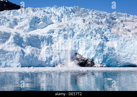 Holgate ghiacciaio Aialik Bay, il Parco nazionale di Kenai Fjords, Alaska, U.S.A. Foto Stock