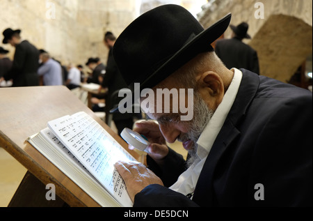 Ultra un ebreo ortodosso leggendo il Sidur libro di preghiera nella sinagoga del Muro occidentale di Gerusalemme Est Israele Foto Stock