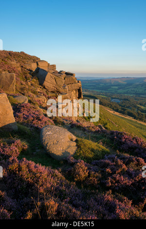 Heather circonda una macina in Bamford bordo con il villaggio di Bamford qui di seguito. Il Peak District, Derbyshire, Inghilterra Foto Stock