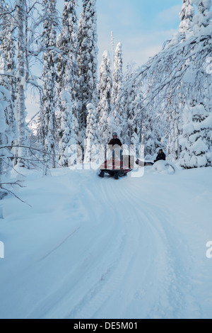 Una motoslitta le vie attraverso le foreste congelate del nord della Finlandia in inverno profondo Foto Stock