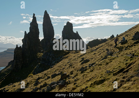 Il vecchio uomo di Storr e altri pinnacoli, al di sotto del Storr, Trotternish, Isola di Skye, Scotland, Regno Unito. Foto Stock