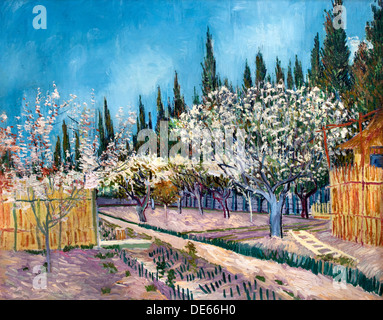 Orchard delimitata da cipressi Arles 1888 Vincent van Gogh 1853 - 1890 Paesi Bassi Paesi Bassi Foto Stock