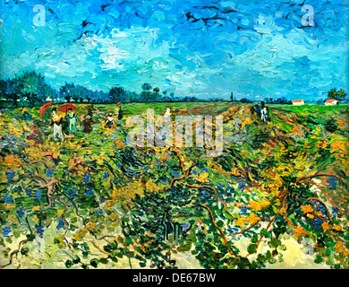 Il Vigneto Verde 1888 Vincent van Gogh 1853 - 1890 Paesi Bassi Paesi Bassi Foto Stock