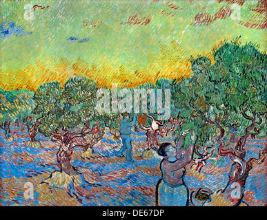 Uliveto con due selettori di Oliva San Remo 1889 Vincent van Gogh 1853 - 1890 Paesi Bassi Paesi Bassi Foto Stock