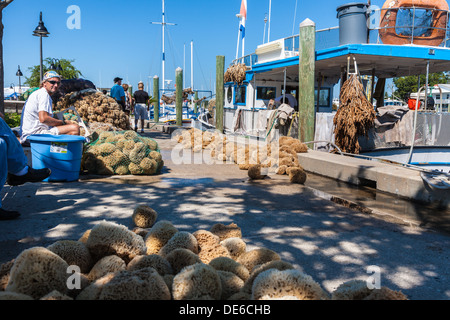 Spugna di smistamento dei pescatori e insacco catture nel dock sul Dodecaneso Blvd. in Tarpon Springs, in Florida Foto Stock