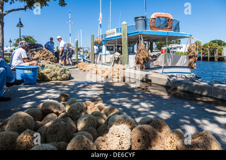 Spugna di smistamento dei pescatori e insacco catture nel dock sul Dodecaneso Blvd. in Tarpon Springs, in Florida Foto Stock