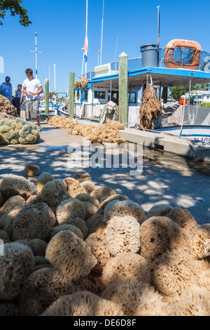 Spugna di smistamento dei pescatori e insacco catture nel dock sul Dodecaneso Blvd. in Tarpon Springs, in Florida Foto Stock