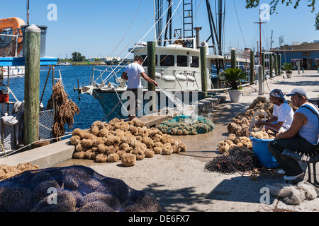 Spugna di smistamento dei pescatori e insacco catture nel dock sul Dodecaneso Blvd. in Tarpon Springs, in Florida Foto Stock