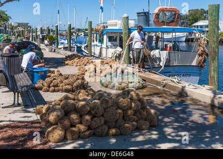 Spugna di smistamento dei pescatori e insacco catture nel dock sul Dodecaneso Blvd. in Tarpon Springs, in Florida Foto Stock