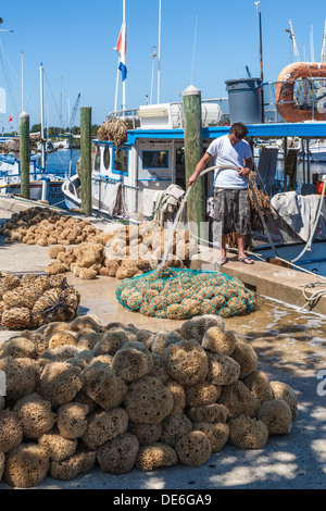 Spugna di smistamento dei pescatori e insacco catture nel dock sul Dodecaneso Blvd. in Tarpon Springs, in Florida Foto Stock