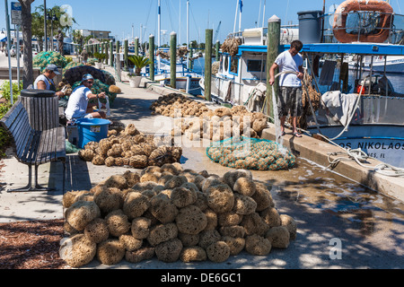 Spugna di smistamento dei pescatori e insacco catture nel dock sul Dodecaneso Blvd. in Tarpon Springs, in Florida Foto Stock