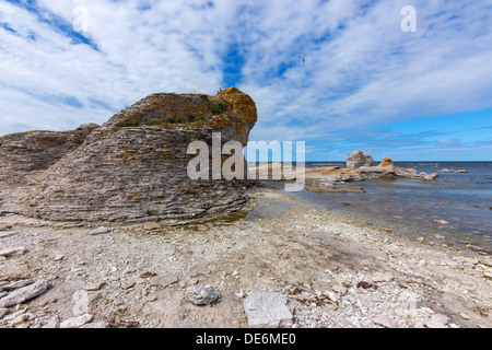 Roccia calcarea (rauk) sulla costa rocciosa di Gotland (Svezia). Isola di Fårö. Foto Stock