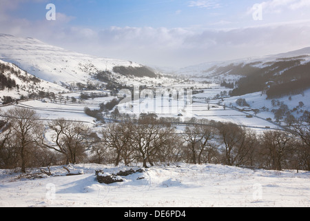 Vista su Wharfedale verso Buckden Pike da vicino a Cray, Superiore Wharfedale, Yorkshire Dales, REGNO UNITO Foto Stock