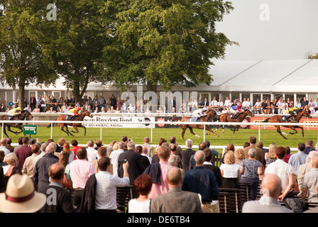 La gente a guardare le corse di cavalli in luglio Racecourse, Newmarket Suffolk REGNO UNITO Foto Stock