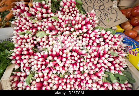 Grandi mazzi di rafano al mercato di domenica per le strade di Le Puy-en-Velay Auvergne nella regione della Francia Foto Stock