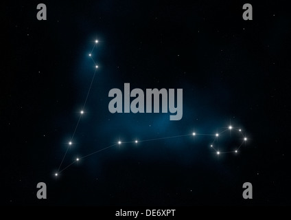 Costellazione di pesci Foto Stock