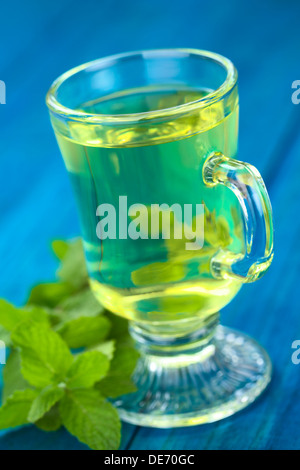 Preparato di fresco fuori del tè di erbe peruviana chiamato Muña (lat. Minthostachys mollis) Foto Stock