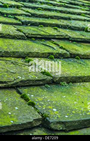 Il vecchio tetto in pietra piastrelle coperte di muschio verde e alghe Foto Stock